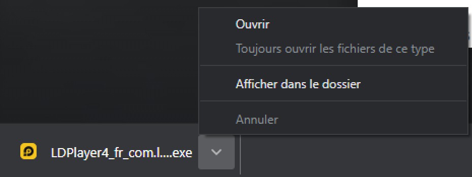 Cliquez pour lancer le lancement du .exe